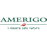 Amerigo