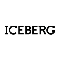 Iceberg